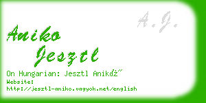 aniko jesztl business card